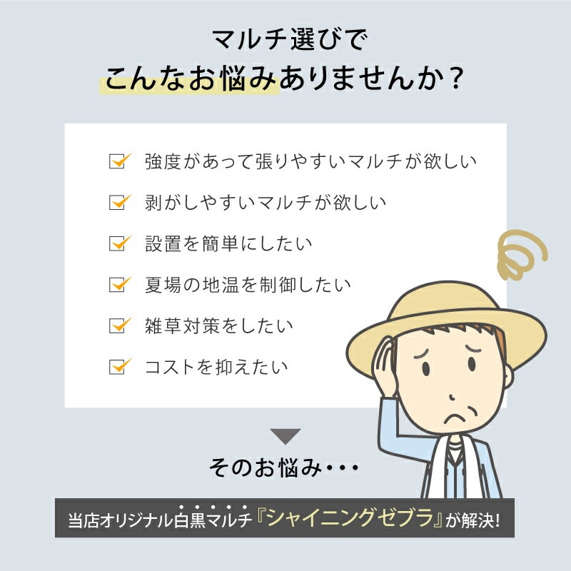 白黒マルチ 幅150cm シャイニングゼブラ 国産 穴なし センターライン入 白黒 マルチ シート 畑 地温 温度 抑制 レタス 白菜 栽培 防草 雑草対策 日A DZ
