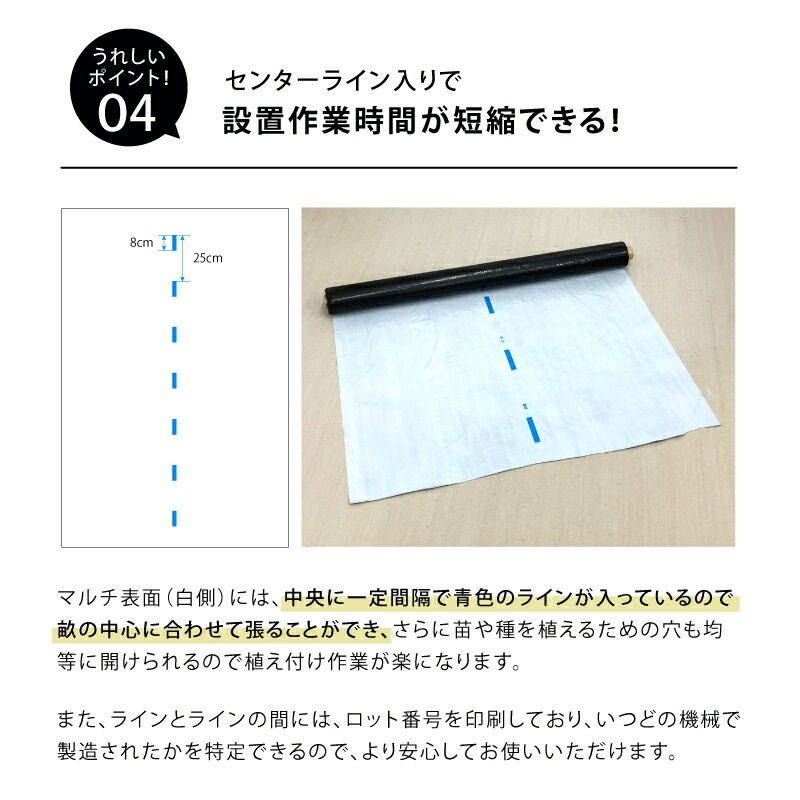 白黒マルチ 幅150cm シャイニングゼブラ 国産 穴なし センターライン入 白黒 マルチ シート 畑 地温 温度 抑制 レタス 白菜 栽培 防草 雑草対策 日A DZ