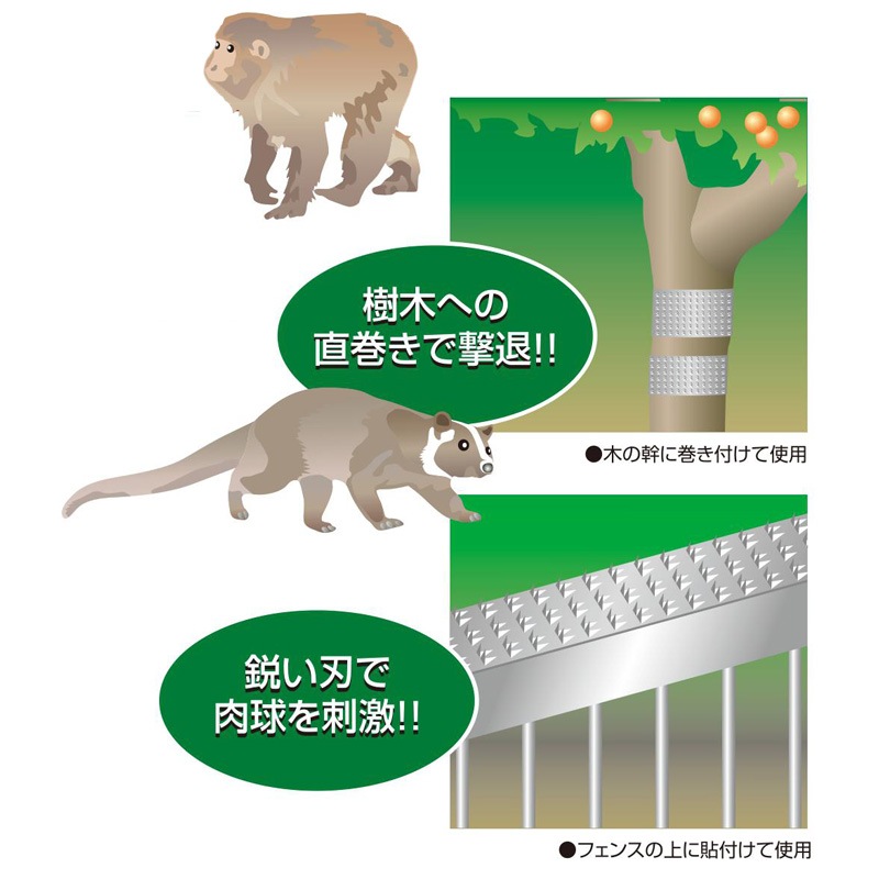 アポロ のぼれんバンド 1箱5枚 AP-NB2012 オプション アクセサリー トラップ 防獣 防鳥 北海道不可 代引不可