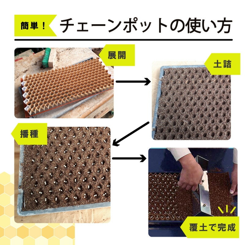 LPチェーンポット LP353-30 1冊 (単品) 株間30cm 190鉢 播種 種まき 育苗 キャベツ ブロッコリー lp353-30 チェーンポット 紙筒 ニッテン 日本甜菜製糖 タSZ