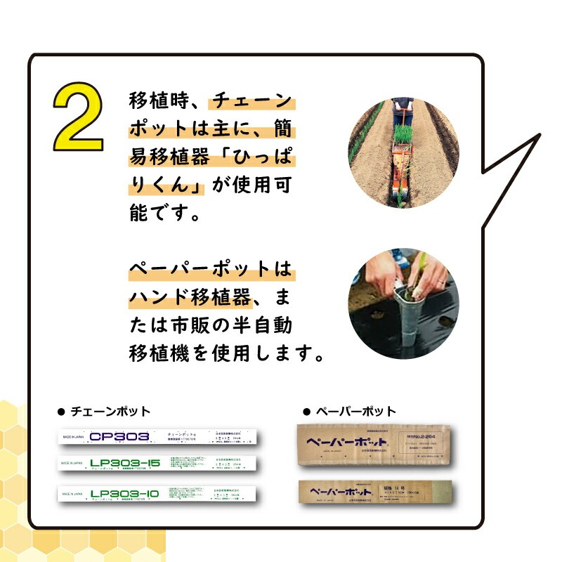 LPチェーンポット LP353-30 1冊 (単品) 株間30cm 190鉢 播種 種まき 育苗 キャベツ ブロッコリー lp353-30 チェーンポット 紙筒 ニッテン 日本甜菜製糖 タSZ