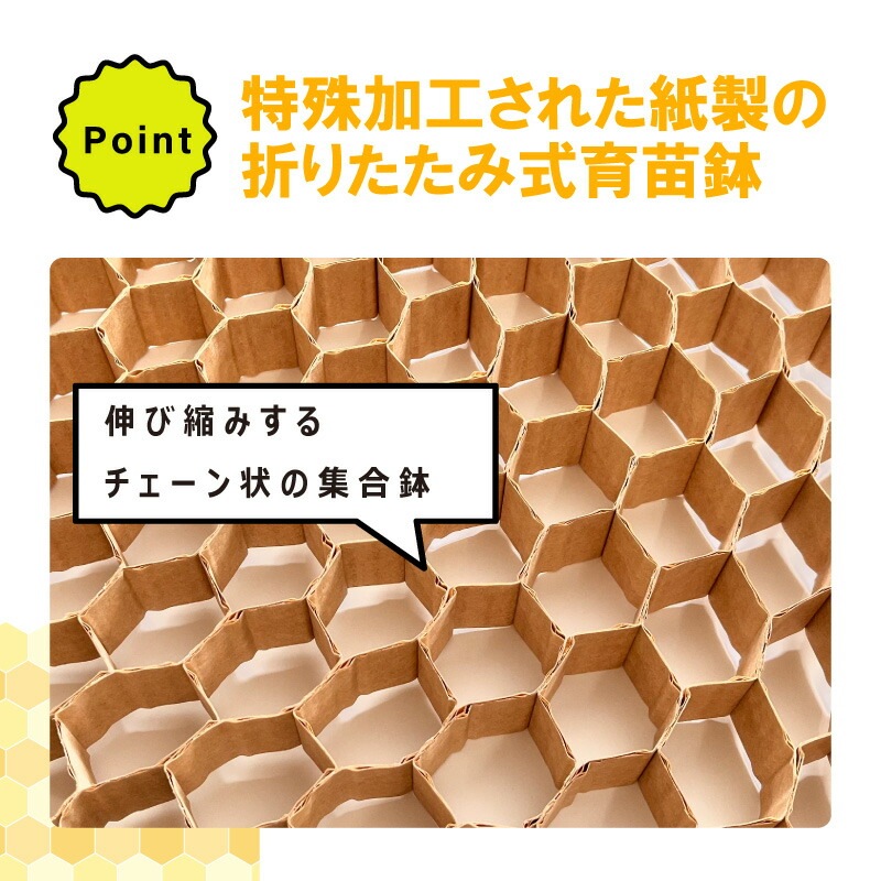 LPチェーンポット LP353-30 1冊 (単品) 株間30cm 190鉢 播種 種まき 育苗 キャベツ ブロッコリー lp353-30 チェーンポット 紙筒 ニッテン 日本甜菜製糖 タSZ