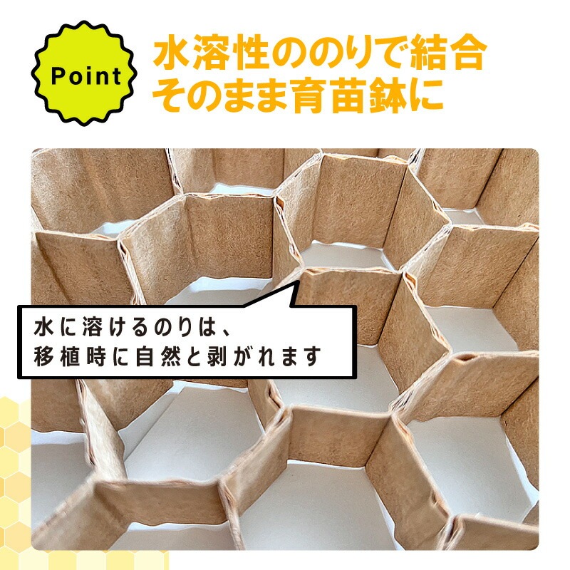 LPチェーンポット LP353-30 1冊 (単品) 株間30cm 190鉢 播種 種まき 育苗 キャベツ ブロッコリー lp353-30 チェーンポット 紙筒 ニッテン 日本甜菜製糖 タSZ
