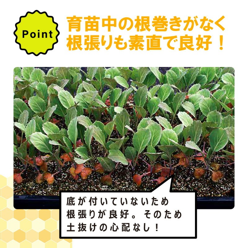 LPチェーンポット LP353-30 1冊 (単品) 株間30cm 190鉢 播種 種まき 育苗 キャベツ ブロッコリー lp353-30 チェーンポット 紙筒 ニッテン 日本甜菜製糖 タSZ