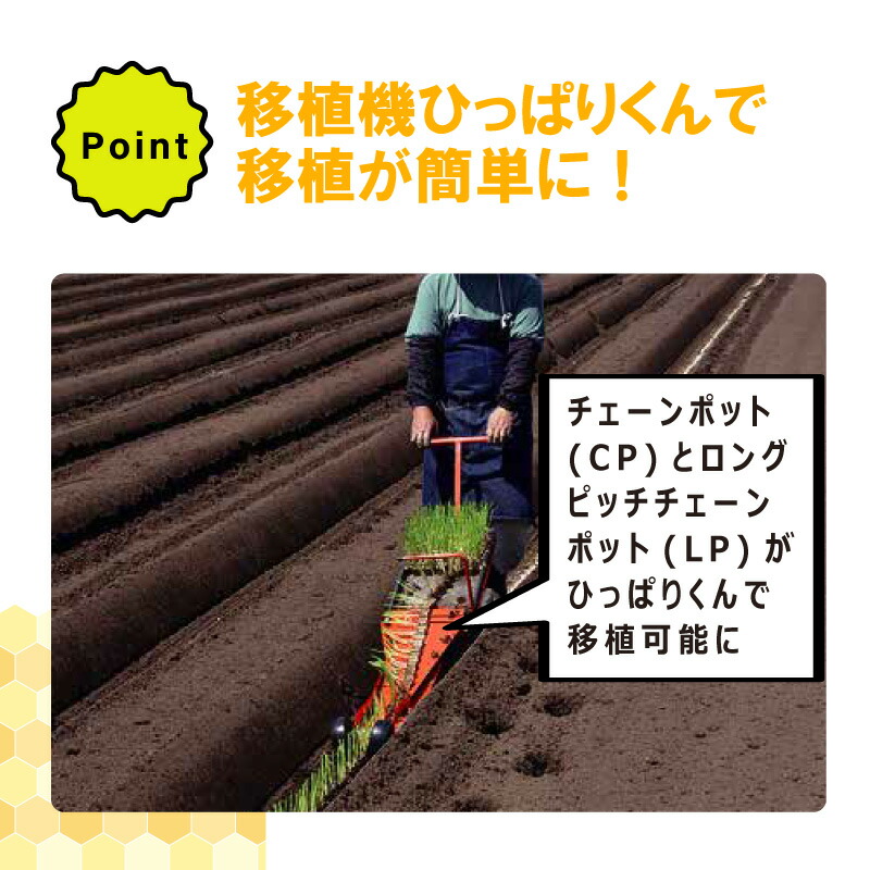 LPチェーンポット LP353-30 1冊 (単品) 株間30cm 190鉢 播種 種まき 育苗 キャベツ ブロッコリー lp353-30 チェーンポット 紙筒 ニッテン 日本甜菜製糖 タSZ