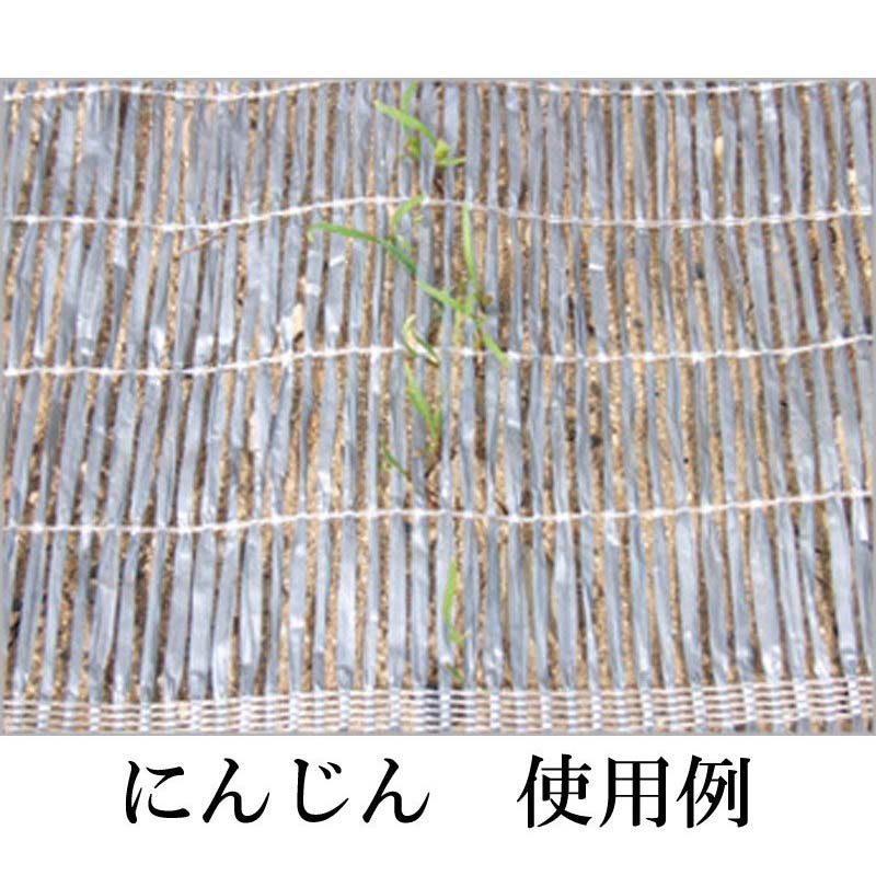 20本 1m×10m シルバー 芽出たいシート 遮光ネット S1606 寒冷紗 タキイ種苗 代引不可
