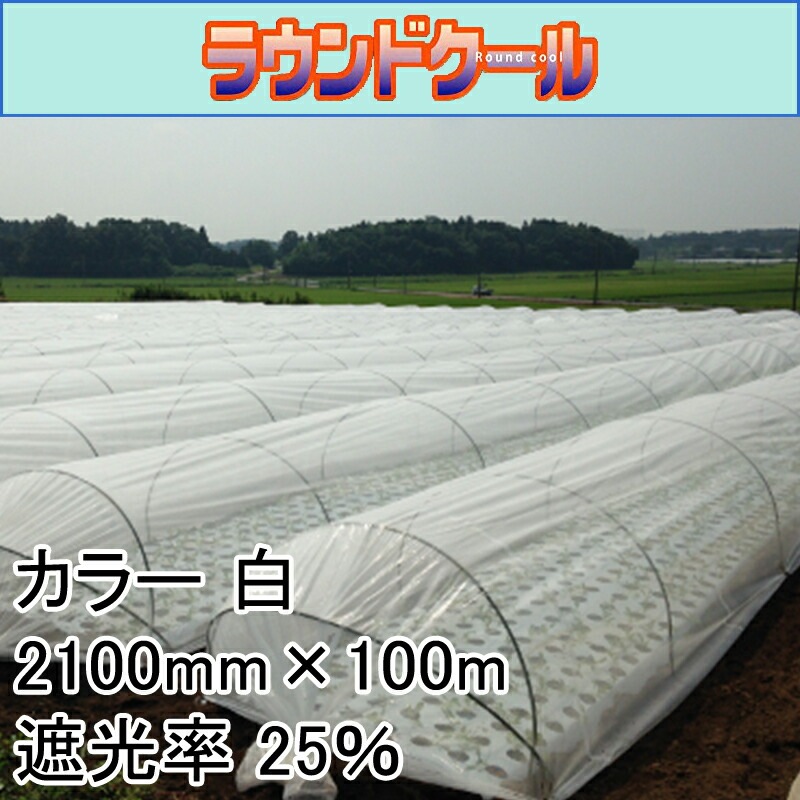 2100mm×100m 白 遮光率25％ ラウンドクール 遮光ネット 寒冷紗 JX ANCI タS 代引不可