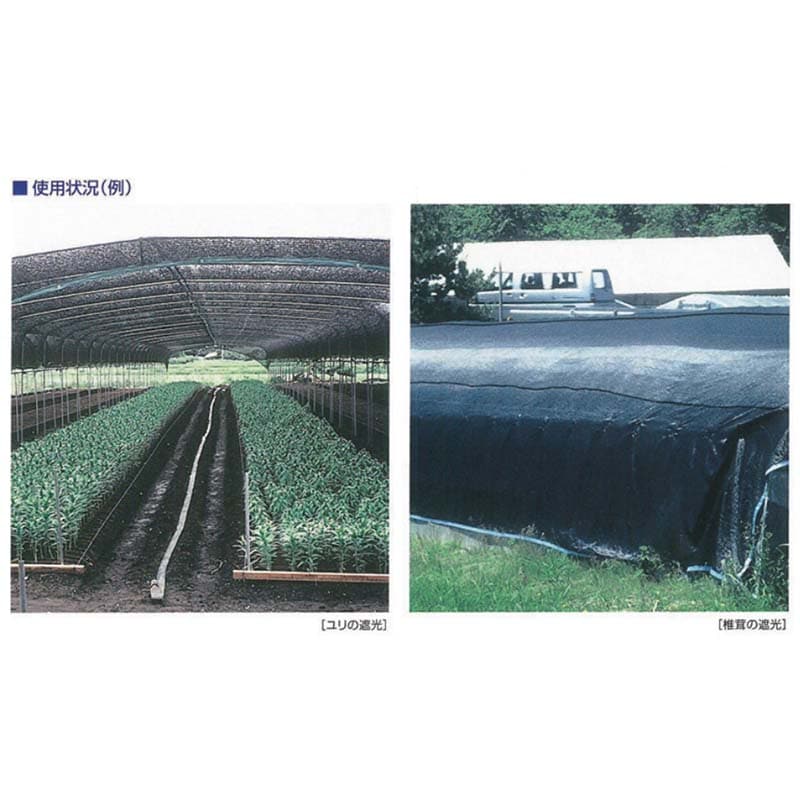 遮光ネット スカイラッセル 幅2m 長さ50m 遮光率75％ #7520 黒 2本入 東京戸張 遮光 ネット シート 東戸 代引不可