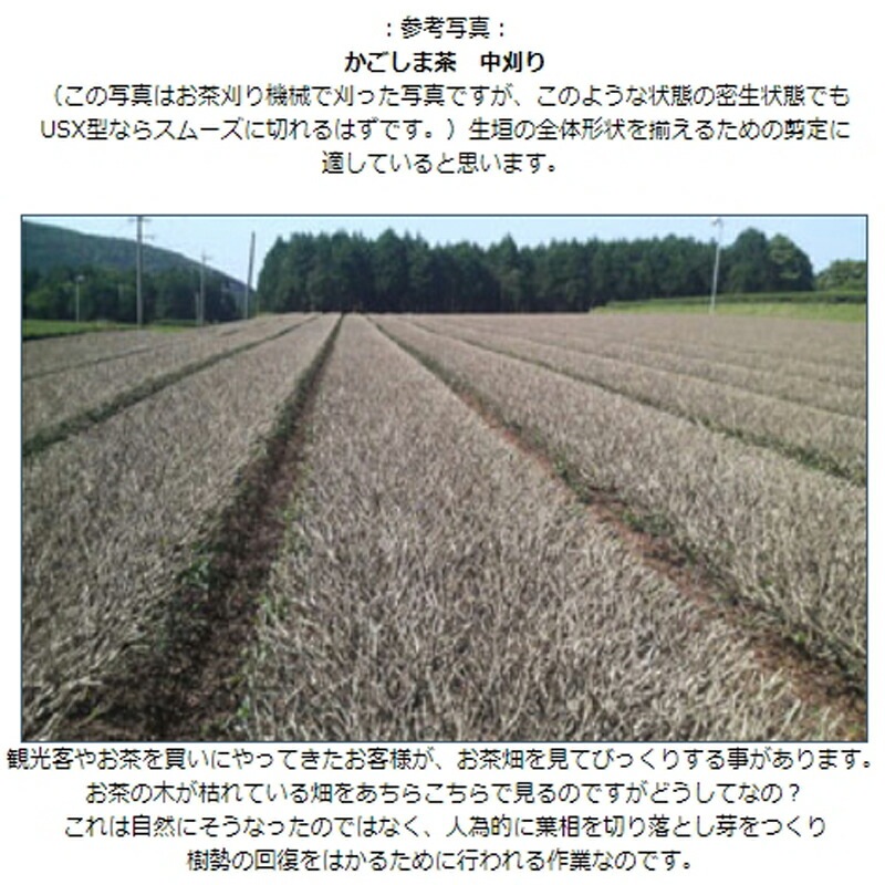 50枚 山林プロ専用 チップソー USX型 竹刈り用 USX-1030 MIK印 日光製作所 255×30P 厚み 1.25mm 窓なし 工具 刃物 切削 日B 個人宅配送不可 代引不可