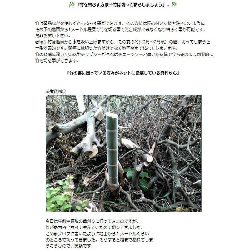 50枚 山林プロ専用 チップソー USX型 竹刈り用 USX-1030 MIK印 日光製作所 255×30P 厚み 1.25mm 窓なし 工具 刃物 切削 日B 個人宅配送不可 代引不可