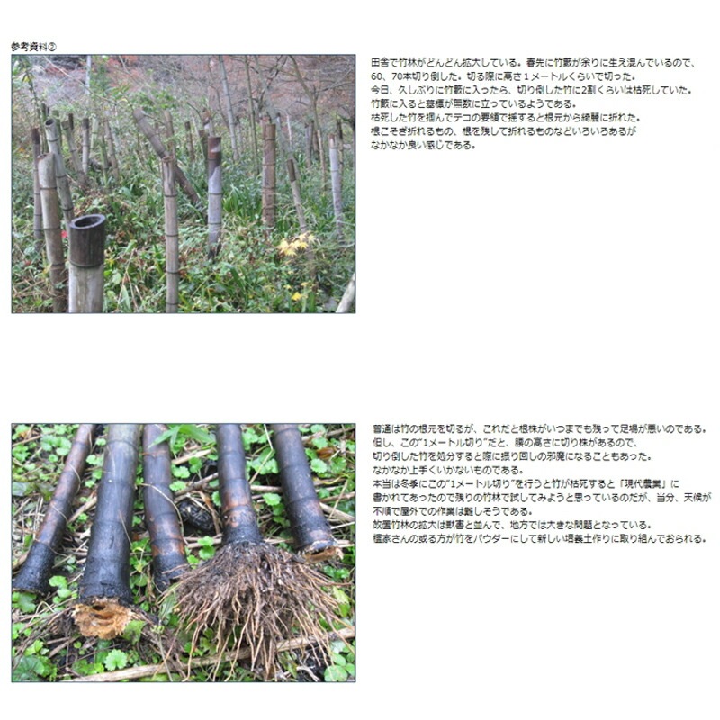 50枚 山林プロ専用 チップソー USX型 竹刈り用 USX-1030 MIK印 日光製作所 255×30P 厚み 1.25mm 窓なし 工具 刃物 切削 日B 個人宅配送不可 代引不可