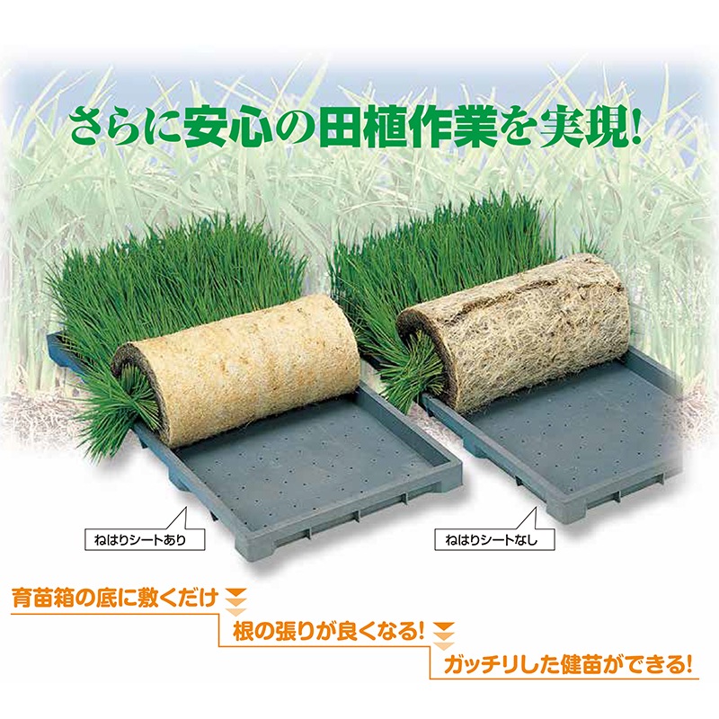 20枚入 10袋 ねはりシート 使い捨てタイプ 健苗シート 育苗箱専用 敷紙 育苗箱 苗箱 紙 シート 育苗 水稲 稲苗 稲作 200枚 農業資材 育苗資材 啓文社 オK DZ