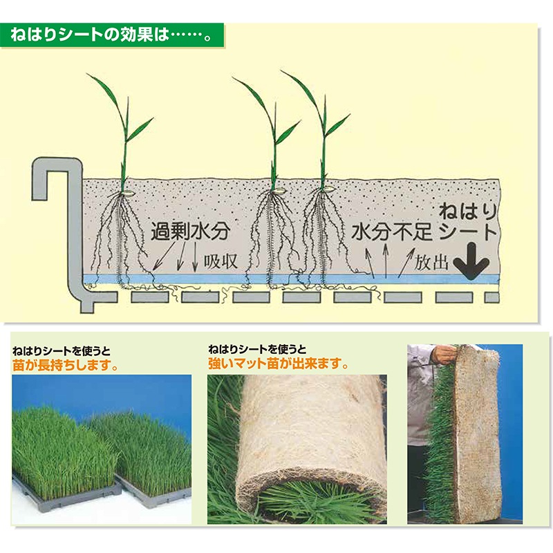 20枚入 10袋 ねはりシート 使い捨てタイプ 健苗シート 育苗箱専用 敷紙 育苗箱 苗箱 紙 シート 育苗 水稲 稲苗 稲作 200枚 農業資材 育苗資材 啓文社 オK DZ