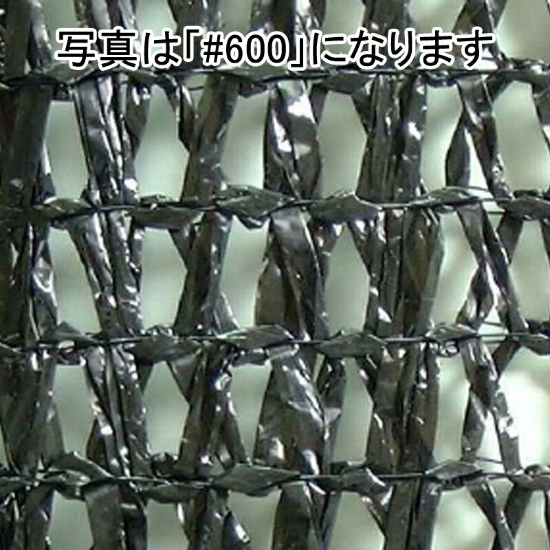 個人宅配送不可 2m×50m 黒 遮光率50％ ワイエムネット 遮光ネット #500 寒冷紗 望月 タS 代引不可