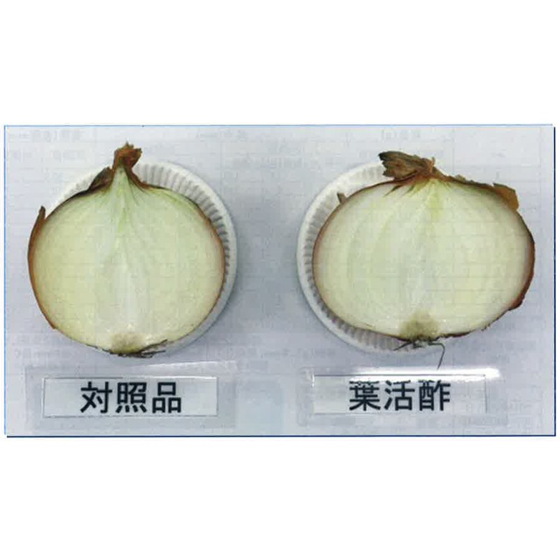 葉面散布用カルシウム肥料 葉活酢 1L 発根促進 液肥 肥料 畑 家庭菜園 ガーデニング 農業 園芸 キューピー醸造 タS DZ