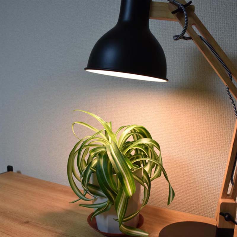 植物育成ライト LED電球 BULB&PAR 口金E26 LPL05WB2K 2700K 30個 白色LED 植物 光合成 日照不足対策 照明 フュ―チャーライト カ園 個人宅配送不可 代引不可