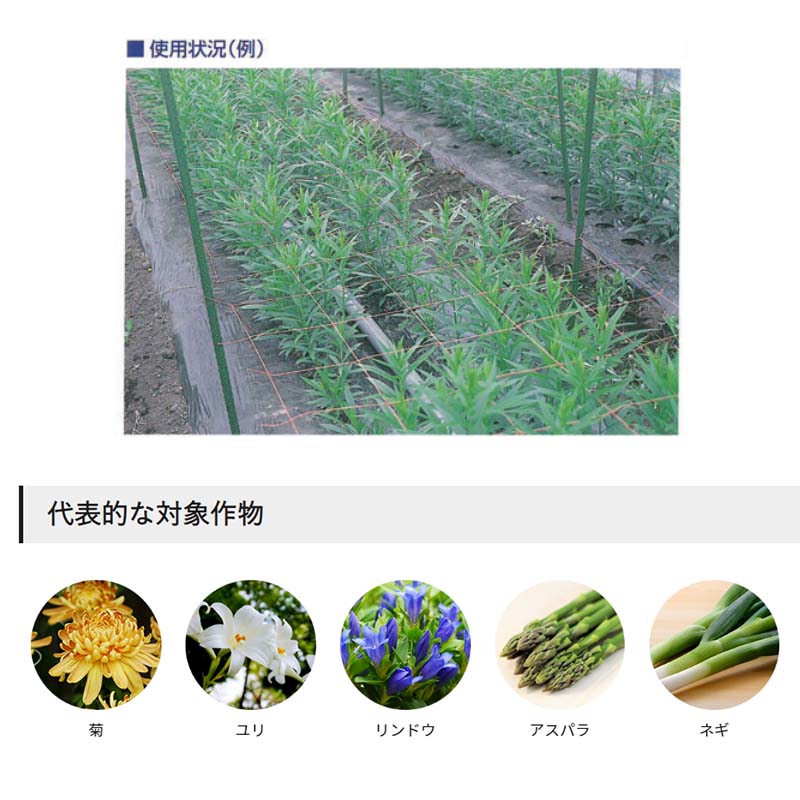 フラワーネット２個　D-128 長さ100m 巾96cm 網目12cm 楽天市場】フラワーネット 400d×24本・撚糸 8目×長さ100m : ミナトワークス