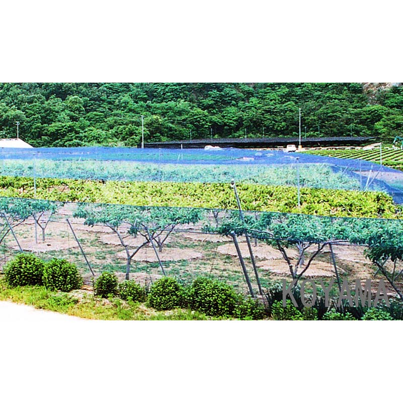 国産 防鳥網 6m×90m サイド張り用 20mm 目合 2000デニール 黒 防鳥ネット 小商 北海道不可 代引不可