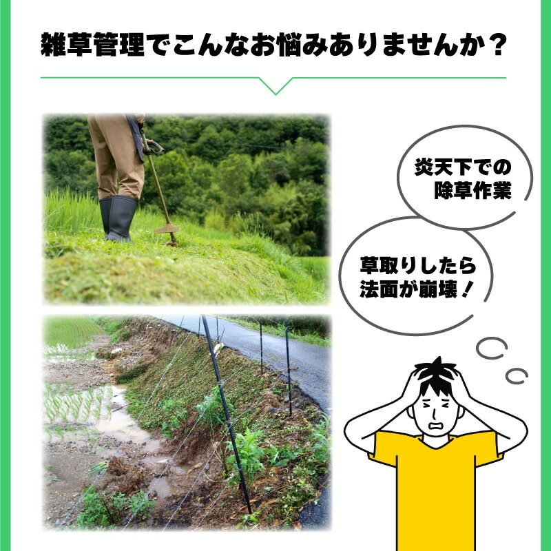 雑草抑制 おまかせネット グリーン 幅2m × 50m巻 耐用年数約8年 UV剤入り 防草 防虫 崩壊しにくい 簡単 施工 おまかせねっと 大一工業 北海道不可 代引不可