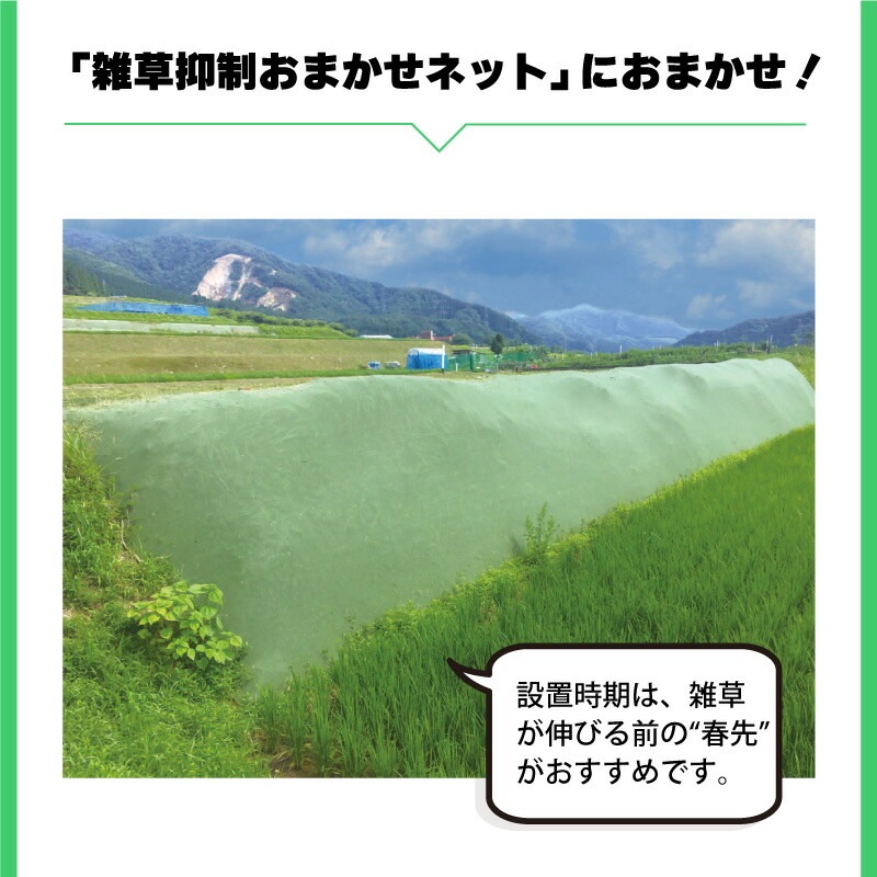 雑草抑制 おまかせネット グリーン 幅2m × 50m巻 耐用年数約8年 UV剤入り 防草 防虫 崩壊しにくい 簡単 施工 おまかせねっと 大一工業 北海道不可 代引不可