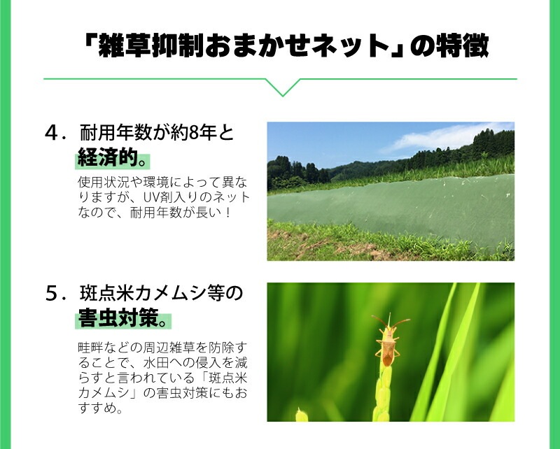 雑草抑制 おまかせネット グリーン 幅2m × 50m巻 耐用年数約8年 UV剤入り 防草 防虫 崩壊しにくい 簡単 施工 おまかせねっと 大一工業 北海道不可 代引不可