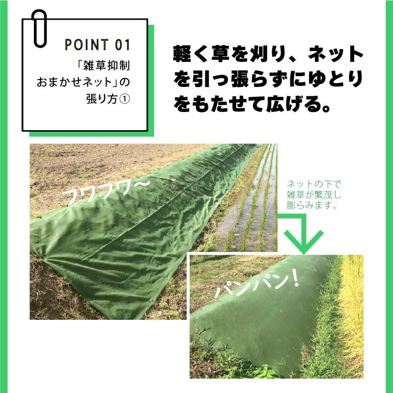 雑草抑制 おまかせネット グリーン 幅2m × 50m巻 耐用年数約8年 UV剤入り 防草 防虫 崩壊しにくい 簡単 施工 おまかせねっと 大一工業 北海道不可 代引不可