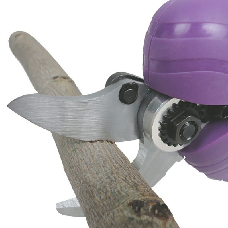 リチウムイオン充電式 電動剪定はさみ 枝切っ太郎 ASH-30M 剪定ばさみ 剪定鋏 枝切りバサミ 枝きりはさみ 電動ハサミ 電動はさみ アルミス 代引不可