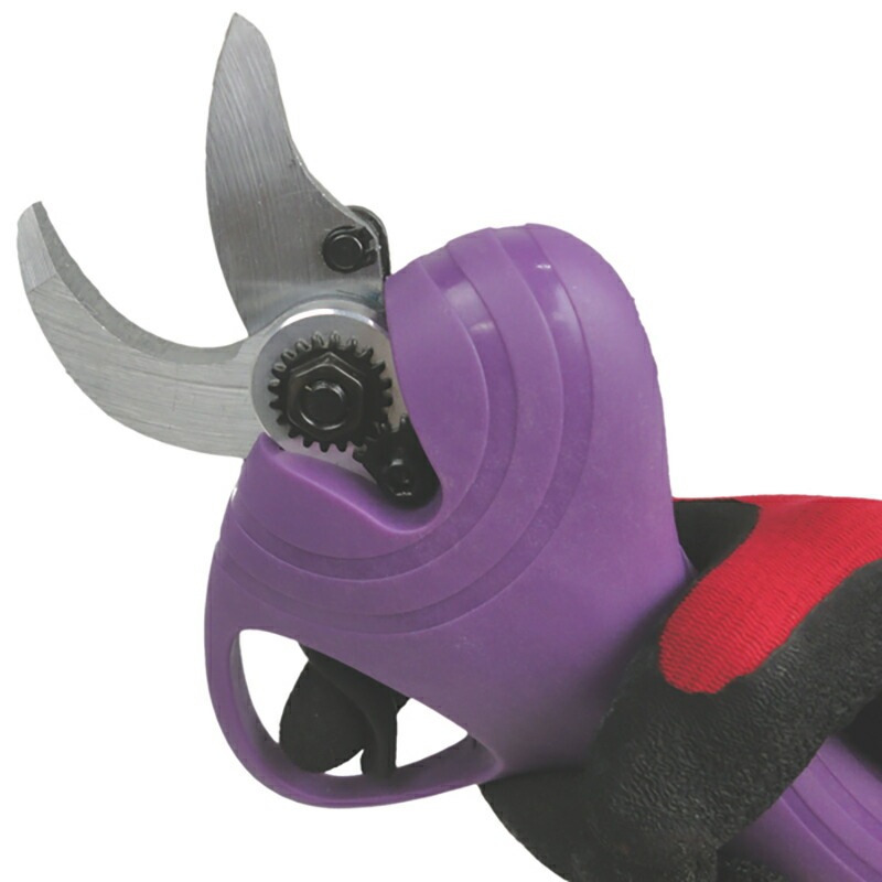 リチウムイオン充電式 電動剪定はさみ 枝切っ太郎 ASH-30M 剪定ばさみ 剪定鋏 枝切りバサミ 枝きりはさみ 電動ハサミ 電動はさみ アルミス 代引不可