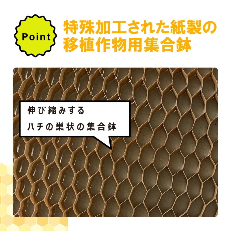 チェーンポット CP303 1冊 (単品) 株間5cm 264鉢 播種 種まき 育苗 ネギ 三つ葉 花き類 野菜 農業 cp303 紙筒 ひっぱりくん ニッテン 日本甜菜製糖 タSZ