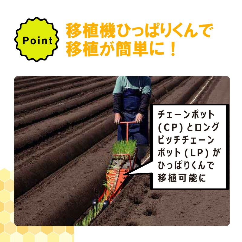 チェーンポット CP303 1冊 (単品) 株間5cm 264鉢 播種 種まき 育苗 ネギ 三つ葉 花き類 野菜 農業 cp303 紙筒 ひっぱりくん ニッテン 日本甜菜製糖 タSZ