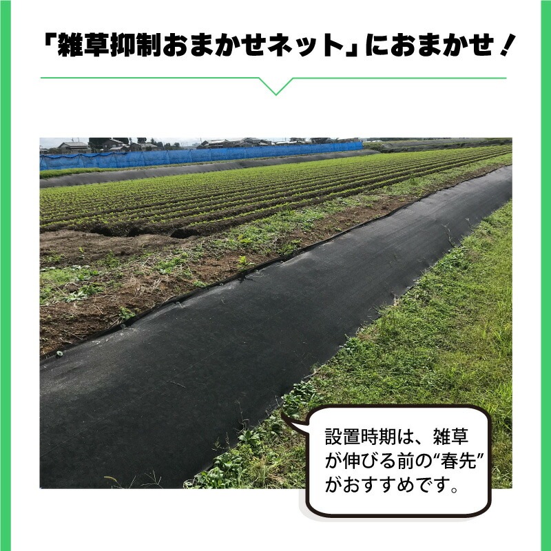 雑草抑制 おまかせネット ブラック 幅1.5m × 50m巻 耐用年数約8年 UV剤入り 防草 防虫 崩壊しにくい 簡単 施工 おまかせねっと 大一工業 北海道不可 代引不可