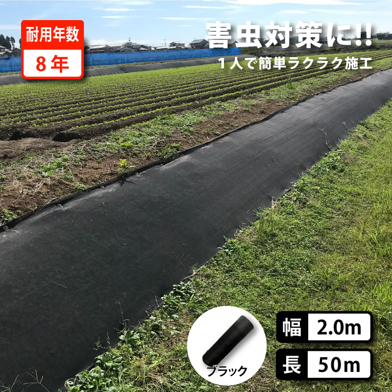 雑草抑制 おまかせネット ブラック 幅2m × 50m巻 耐用年数約8年 UV剤入り 防草 防虫 崩壊しにくい 簡単 施工 おまかせねっと 大一工業 北海道不可 代引不可