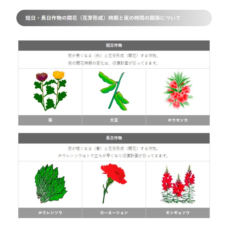 LED 防蛾灯 モスバリア ジュニア FOR フラワー KTJ-01 省電力 屋外灯 蛾灯 防虫 発光ダイオード ゼロビーム ZEROBEAM 代引不可