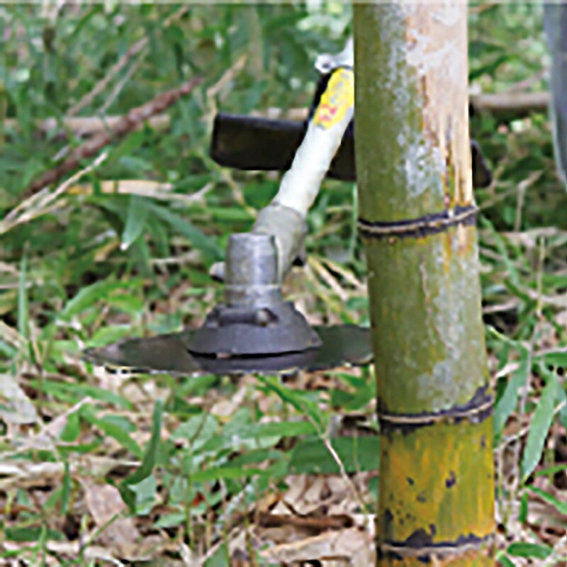 1枚 刈払機用回転刈刃 無双クリアソー 24TX225 刈払機 刃 竹 木 切断 255×1.8×25.4 0340 三陽金属 三冨D