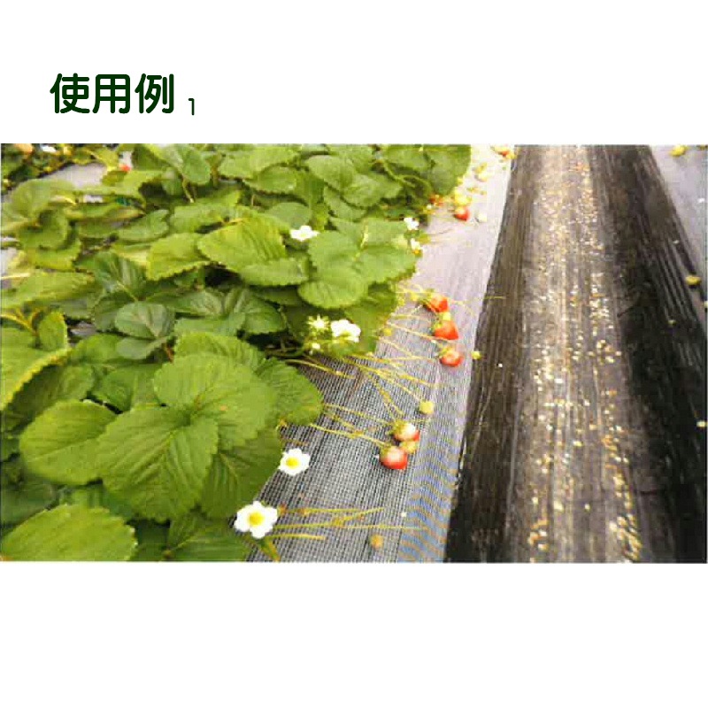 いちご玉受けネット N400 25cm×100m 高設栽培 葉よけ 茎折れ解消 風害 保護 サT 個人宅配送不可 代引不可