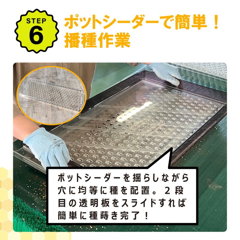 播種5点セット CP300 2 3粒LL-中 チェーンポット用 展開串 土詰ブラシ 展開枠 ポットプレート ポットシーダー 播種セット 種まき ニッテン 日本甜菜製糖 タS D