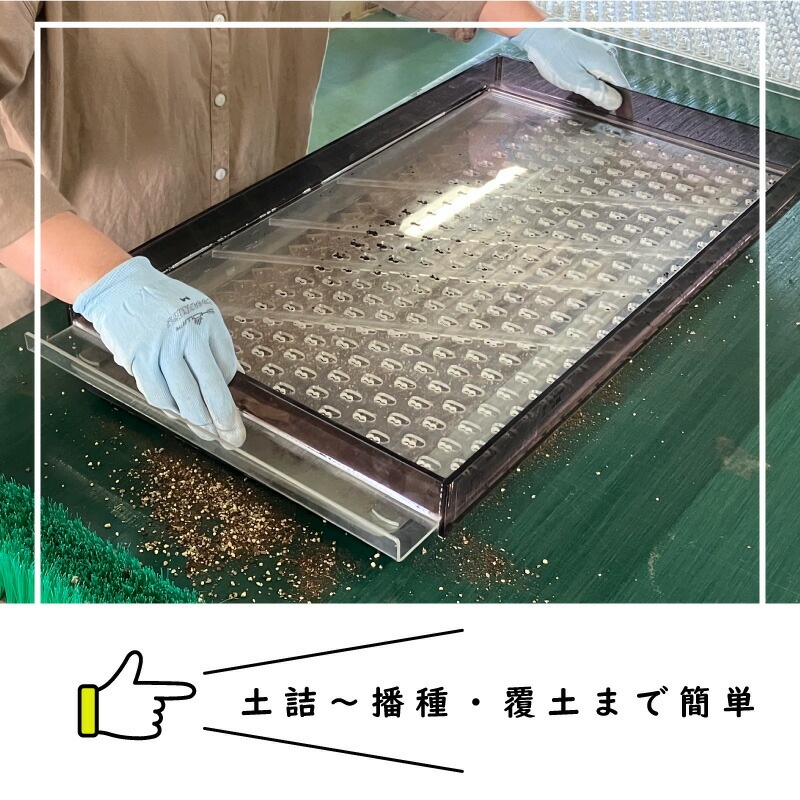 播種5点セット CP300 2 3粒LL-中 チェーンポット用 展開串 土詰ブラシ 展開枠 ポットプレート ポットシーダー 播種セット 種まき ニッテン 日本甜菜製糖 タS D