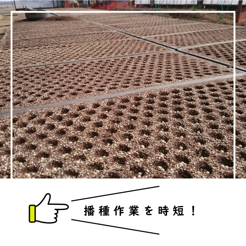 播種5点セット CP300 2 3粒LL-中 チェーンポット用 展開串 土詰ブラシ 展開枠 ポットプレート ポットシーダー 播種セット 種まき ニッテン 日本甜菜製糖 タS D