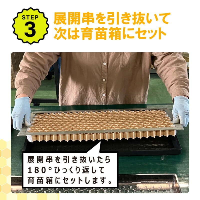 播種5点セット CP300 2 3粒LL-中 チェーンポット用 展開串 土詰ブラシ 展開枠 ポットプレート ポットシーダー 播種セット 種まき ニッテン 日本甜菜製糖 タS D