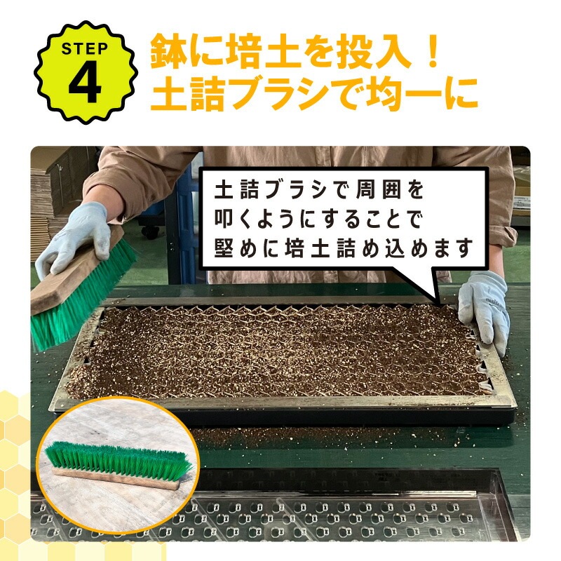 播種5点セット CP300 2 3粒LL-中 チェーンポット用 展開串 土詰ブラシ 展開枠 ポットプレート ポットシーダー 播種セット 種まき ニッテン 日本甜菜製糖 タS D