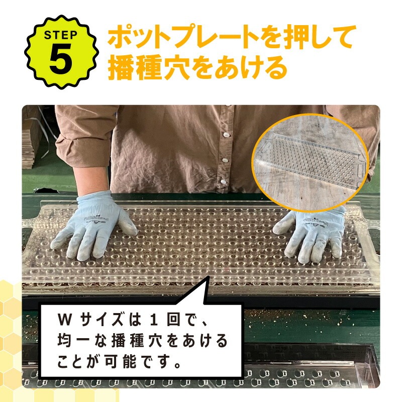 播種5点セット CP300 2 3粒LL-中 チェーンポット用 展開串 土詰ブラシ 展開枠 ポットプレート ポットシーダー 播種セット 種まき ニッテン 日本甜菜製糖 タS D