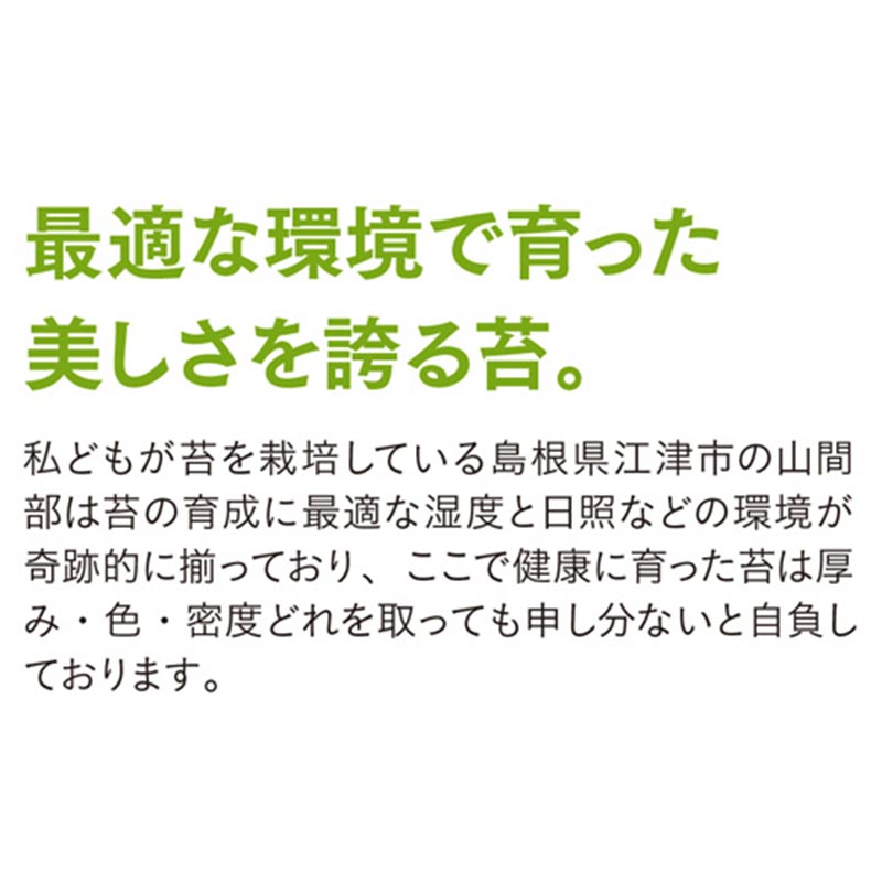 国産 砂苔 300×600mm 星屑のような葉 庭園材 苔盆景 屋上緑化 アクアテラリウム 直立3cm 天然 日照に強い 積雪に強い 苔 スナゴケ 石州這苔屋 代引不可