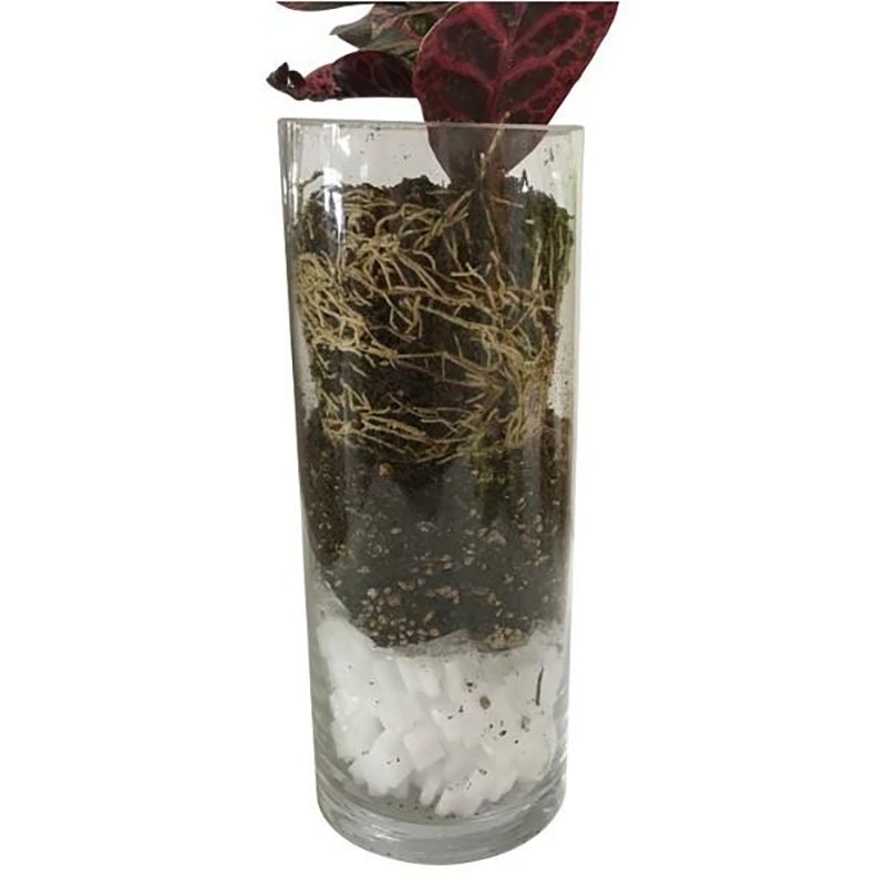 底石 O2+ スノウ 鉢植え用 ポリエチレン製 鉢底石 3×1cm 10g 約100個入 30袋 園芸 プランター栽培 一色本店 個人宅配送不可 代引不可