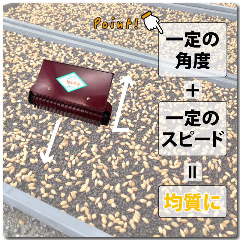 みくに式 種まき機 改良型 播種機 ガードレール付 三国式 水稲 水田 水稲播種機 レール式 園芸 園芸用品 園芸資材 農業 農業用品 農業資材 たねまき サT DZ