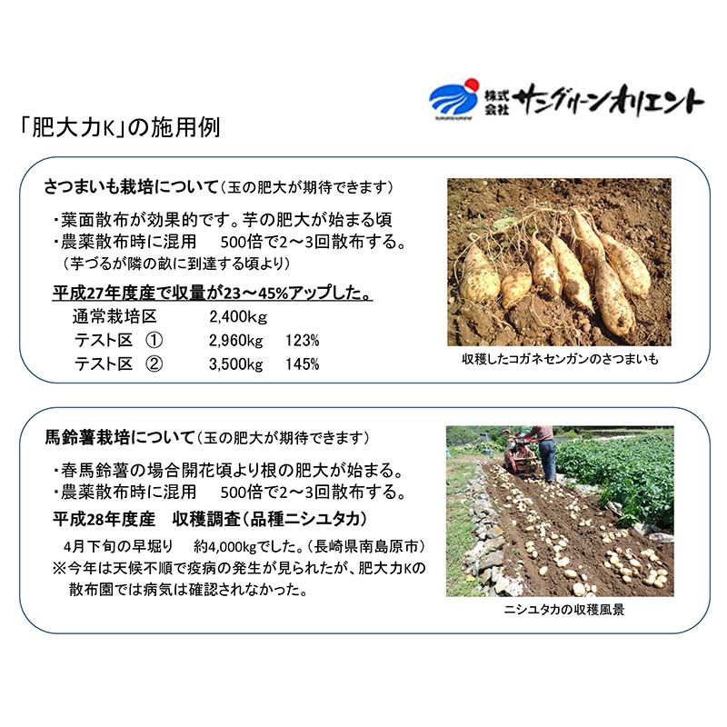 2個 肥大力 10kg 肥大促進 カリウム葉面散布肥料 根菜類 肥大 液肥 サングリーンオリエント タS D