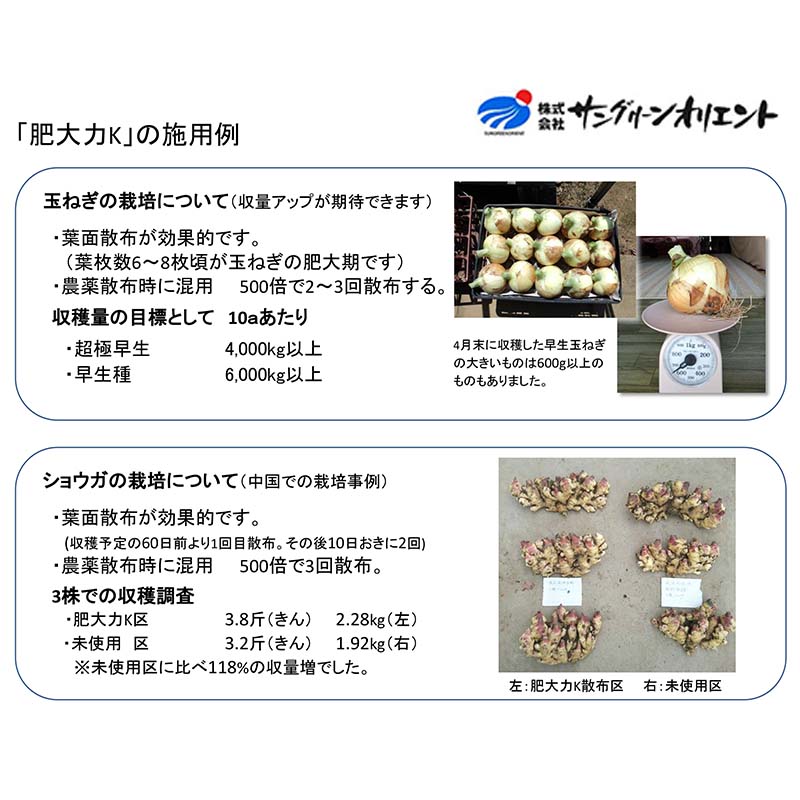 2個 肥大力 10kg 肥大促進 カリウム葉面散布肥料 根菜類 肥大 液肥 サングリーンオリエント タS D