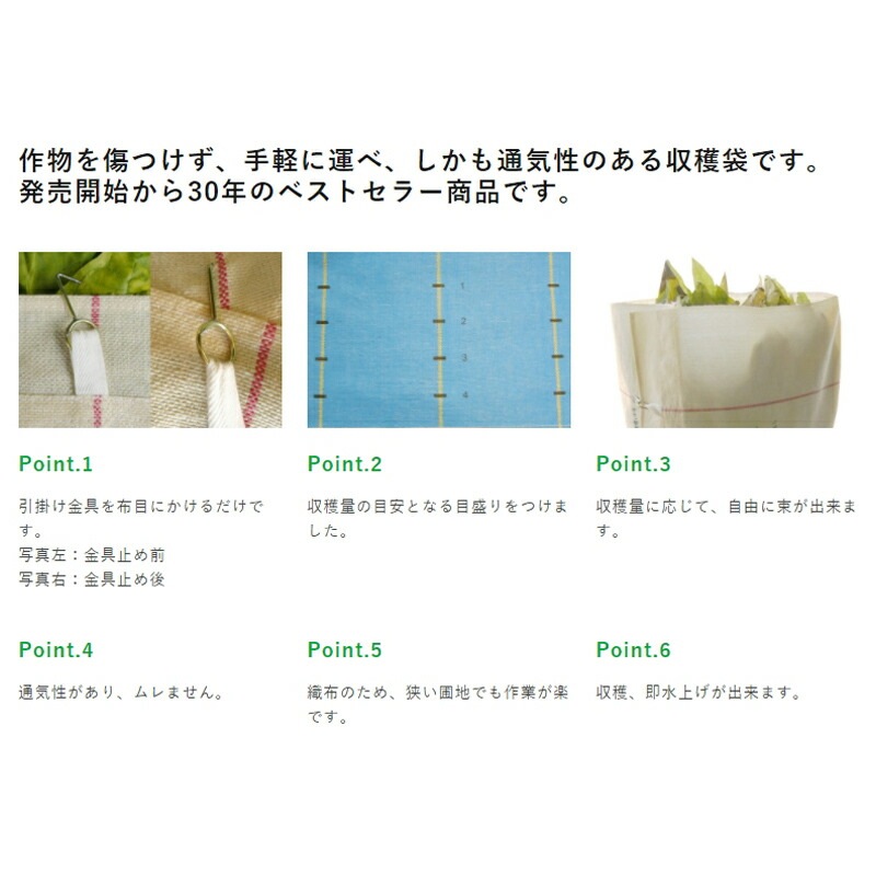 プラスワイズ本店｜50枚 収穫布 ベンリークロス 大紀産業 H750×1500