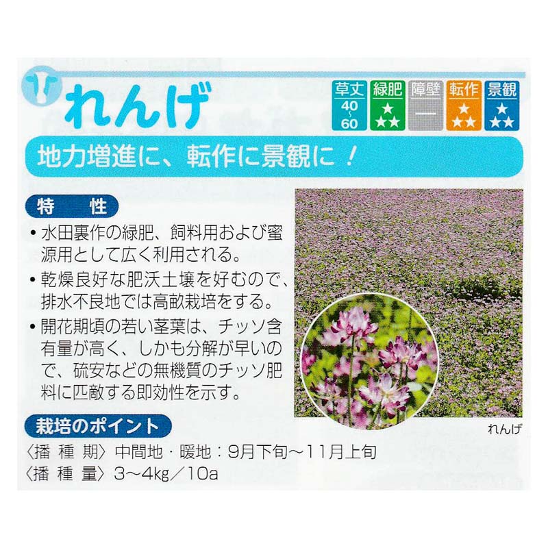 種 1kg れんげ 緑肥作物・畜産用資材 その他 景観用 蓮華 レンゲ タキイ種苗 米S 代引不可