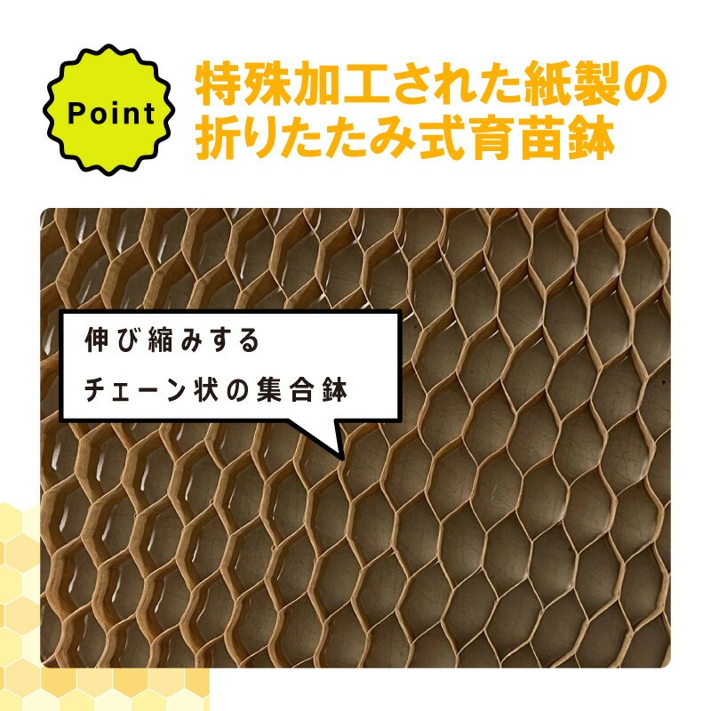 チェーンポット CP305 150冊 (個) 株間5.0cm 264鉢 播種 種まき 育苗 苗 白ネギ 花き類 野菜 農業 cp305 紙筒 ひっぱりくん ニッテン 日本甜菜製糖 タS D