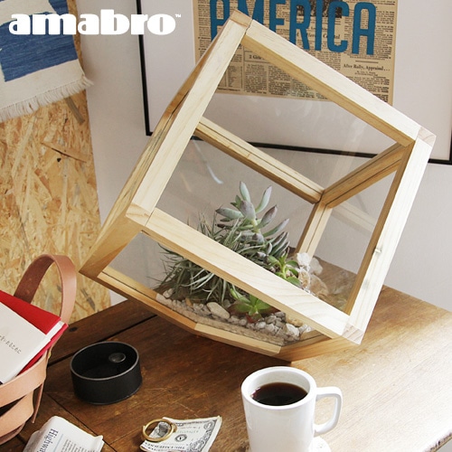 アマブロ ウッド テラリウム スクエア Lサイズ amabro WOOD TERRARIUM